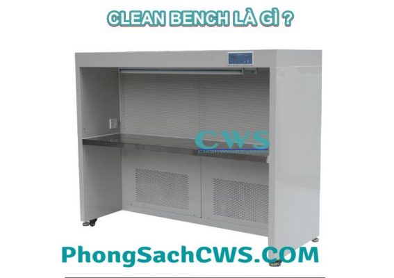 Clean bench là gì